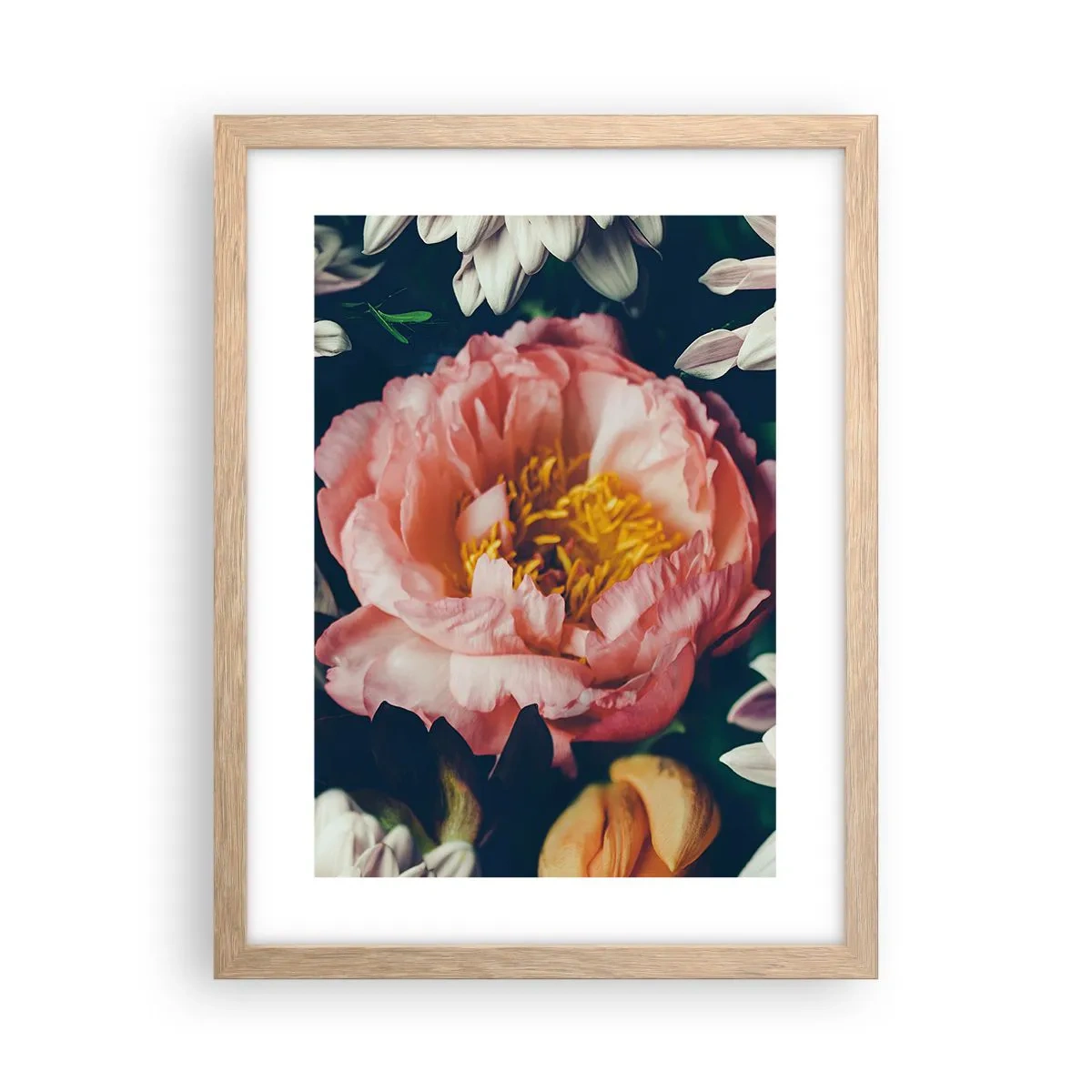 Poster în ramă de stejar deschis - Cu splendoare barocă - 30x40 cm