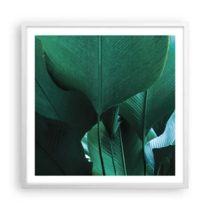 Poster în ramă albă - Cu frunza la lumină - 60x60 cm