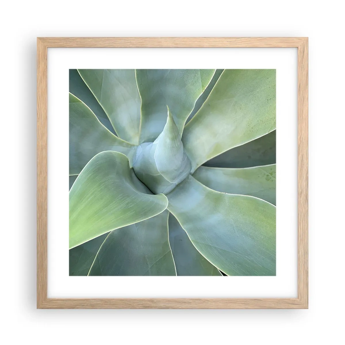 Poster în ramă de stejar deschis - Nașterea verdeții - 40x40 cm