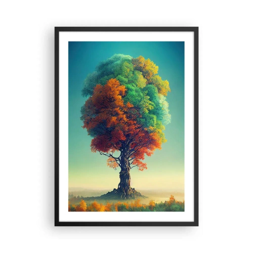 Poster în ramă neagră - Un copac în culorile celor patru anotimpuri - 50x70cm - Stejarul - părintele naturii - Decorațiune modernă pentru perete pentru living și dormitor ARTTOR