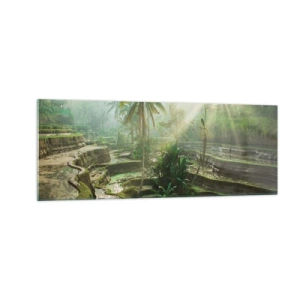 Tablou pe sticlă - Crescând la soare - 140x50 cm