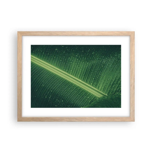 Poster în ramă de stejar deschis - Structura verdelui - 40x30 cm