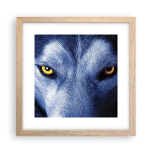 Poster în ramă de stejar deschis - O privire hipnotizantă - 30x30 cm