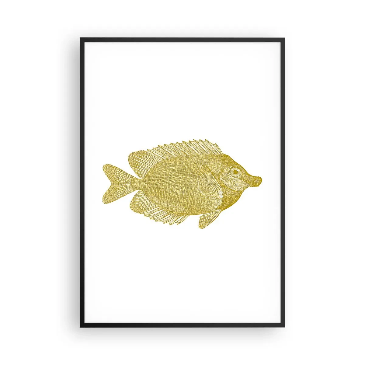 Poster în ramă neagră - Pește și atât - 70x100 cm