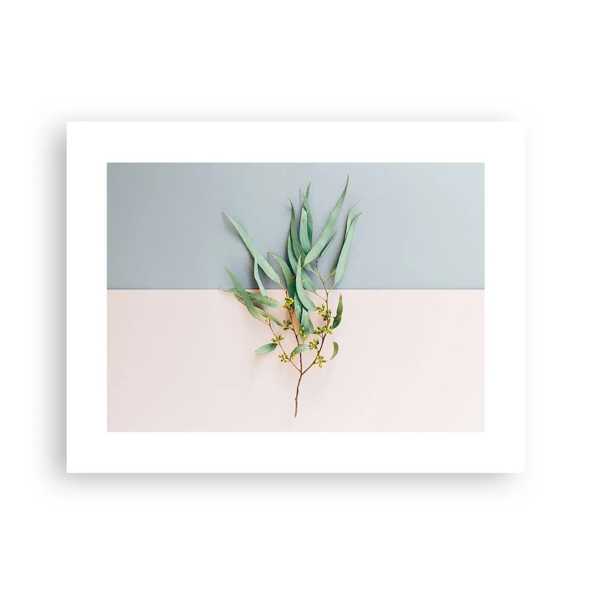 Poster - Subtilitate pastelată - 40x30 cm