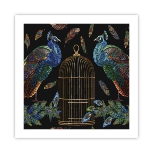 Poster - În veșmânt regal - 50x50 cm