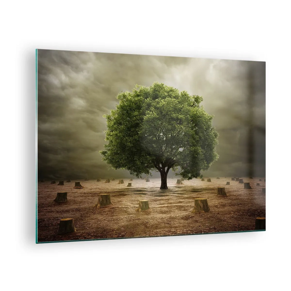 Tablou pe sticlă - Un copac verde înconjurat de trunchiuri pe un cer sumbru - 70x50cm - Toate speranțele - Decorațiune modernă pentru perete pentru living și dormitor ARTTOR