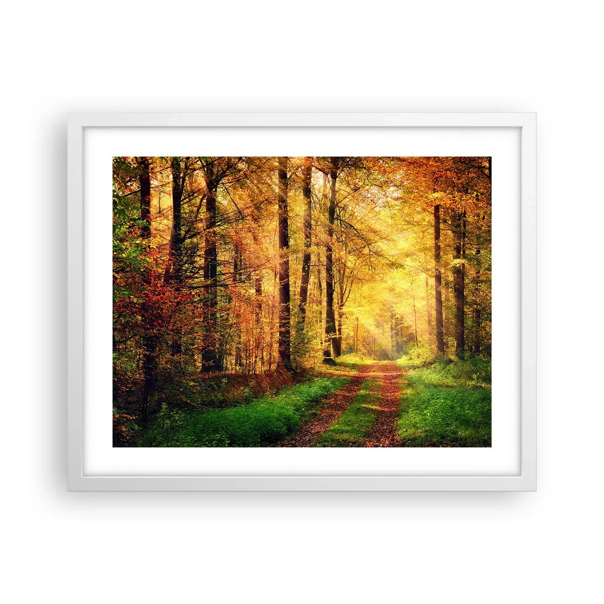 Poster în ramă albă - Tăcere de aur de pădure - 50x40 cm