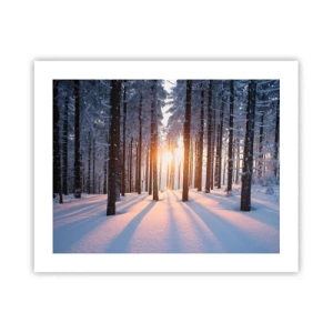 Poster - În mod clar în alb și negru - 50x40 cm