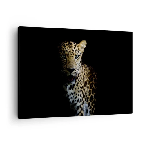 Tablou pe pânză Canvas - Un leopard pe un fundal întunecat cu o privire intensă - 70x50cm - Frumusețe întunecată - Decorațiune modernă pentru perete pentru living și dormitor ARTTOR