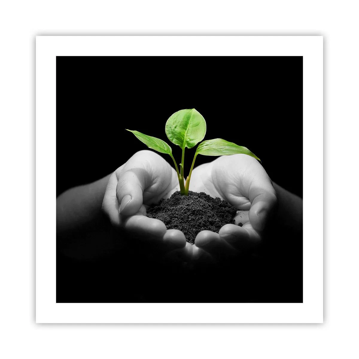 Poster - Iubesc natura, o protejez - 50x50 cm