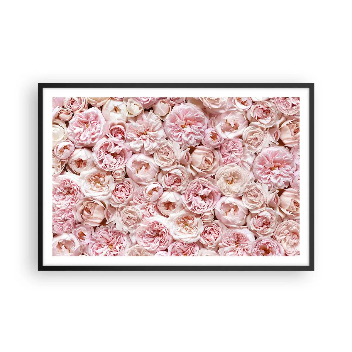 Poster în ramă neagră - Presărat cu trandafiri - 91x61 cm