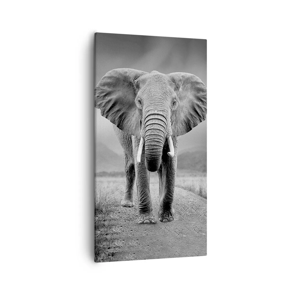 Tablou pe pânză - Gazda te salută - 55x100 cm