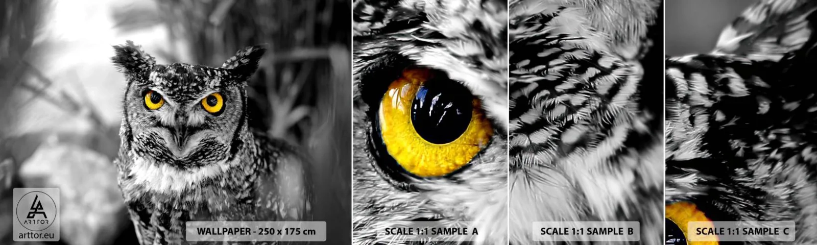 Mostră de Tapet Standard Eco - Nimic nu poate fi ascuns - Păsări, Bufniţă, Natură - 100x30 cm