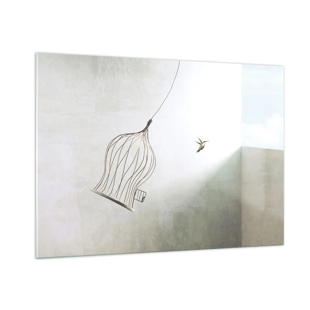 Tablou pe sticlă - Eliberat - 100x70 cm