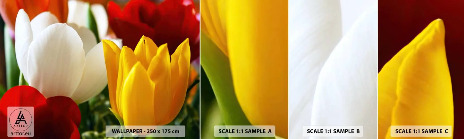 Mostră tapet autocolant Deluxe Sticker - Goana după lalele - Flori, Lalele, Buchet de flori - 100x30 cm