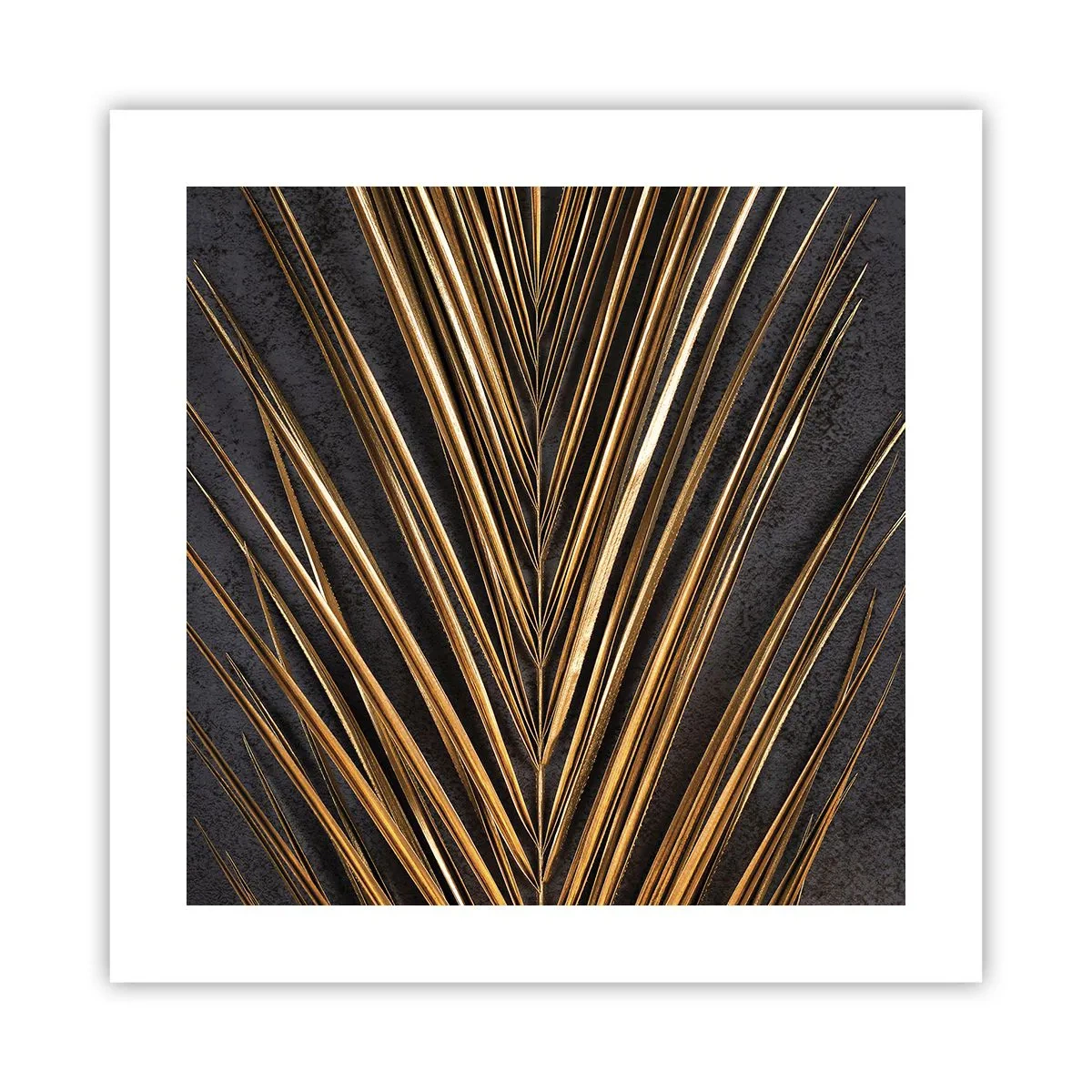 Poster - Aur tropical - 40x40 cm