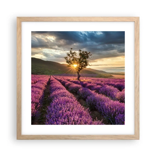 Poster în ramă de stejar deschis - Aroma în liliac - 40x40 cm