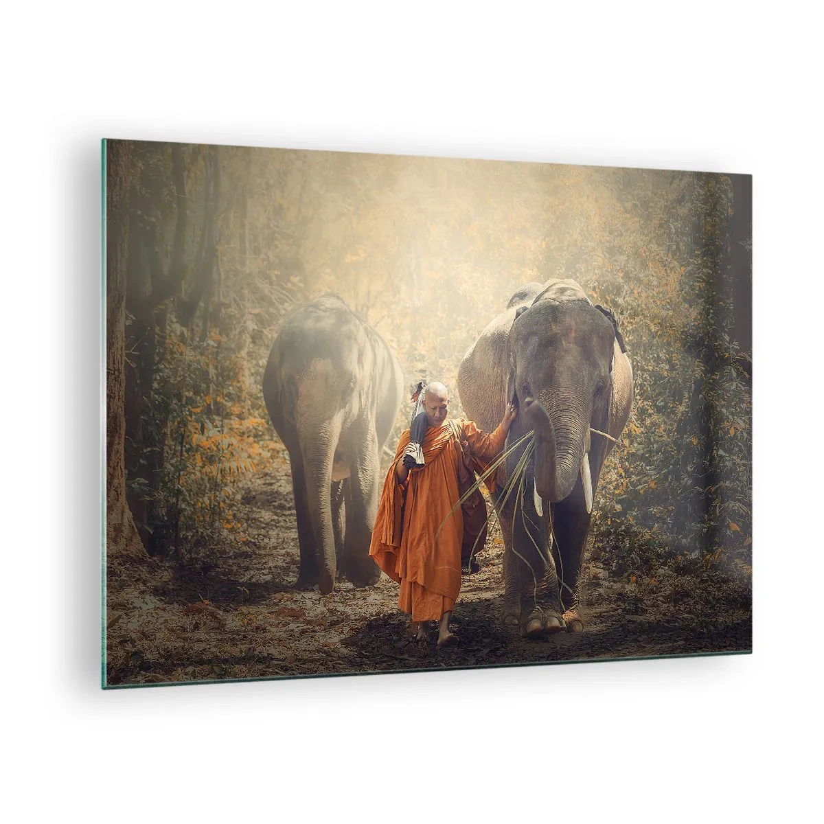 Tablou pe sticlă - Un călugăr cu doi elefanți într-un cadru forestier - 70x50cm - Înțelegere deplină - Decorațiune modernă pentru perete pentru living și dormitor ARTTOR