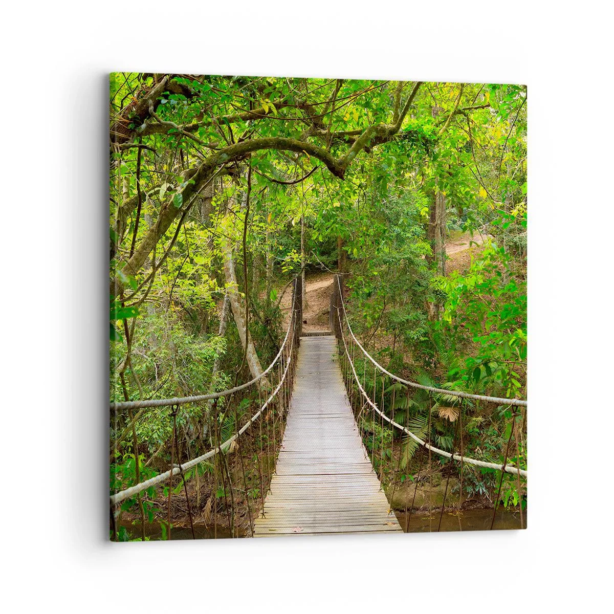 Tablou pe pânză - Pentru că în grădină crește o liană - 70x70 cm