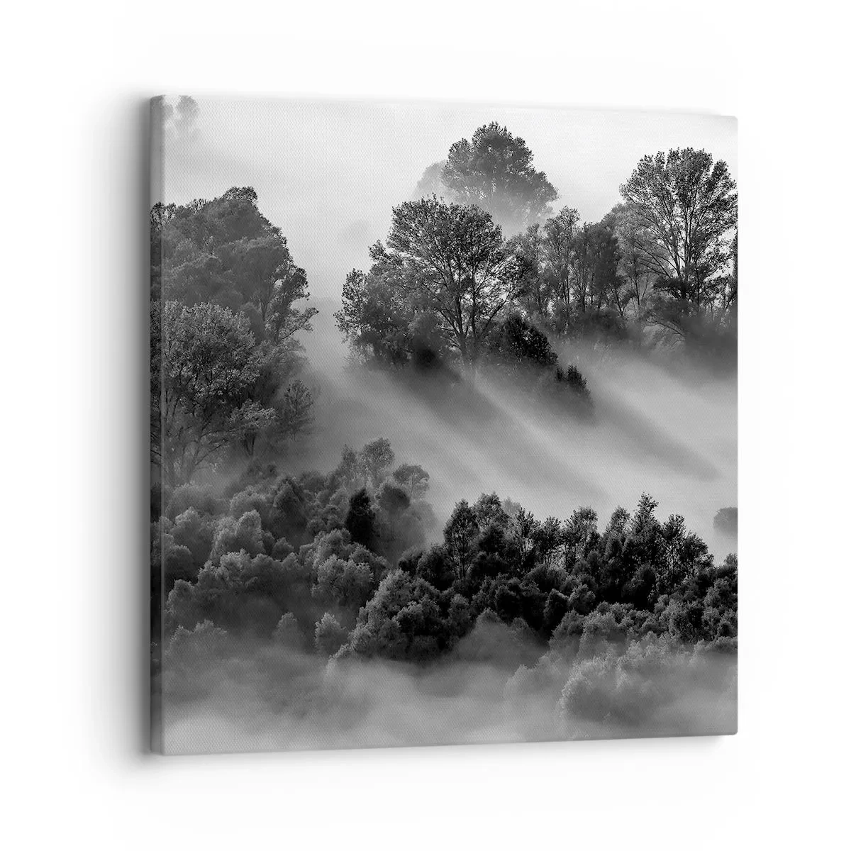 Tablou pe pânză - Trezindu-se din somn - 30x30 cm