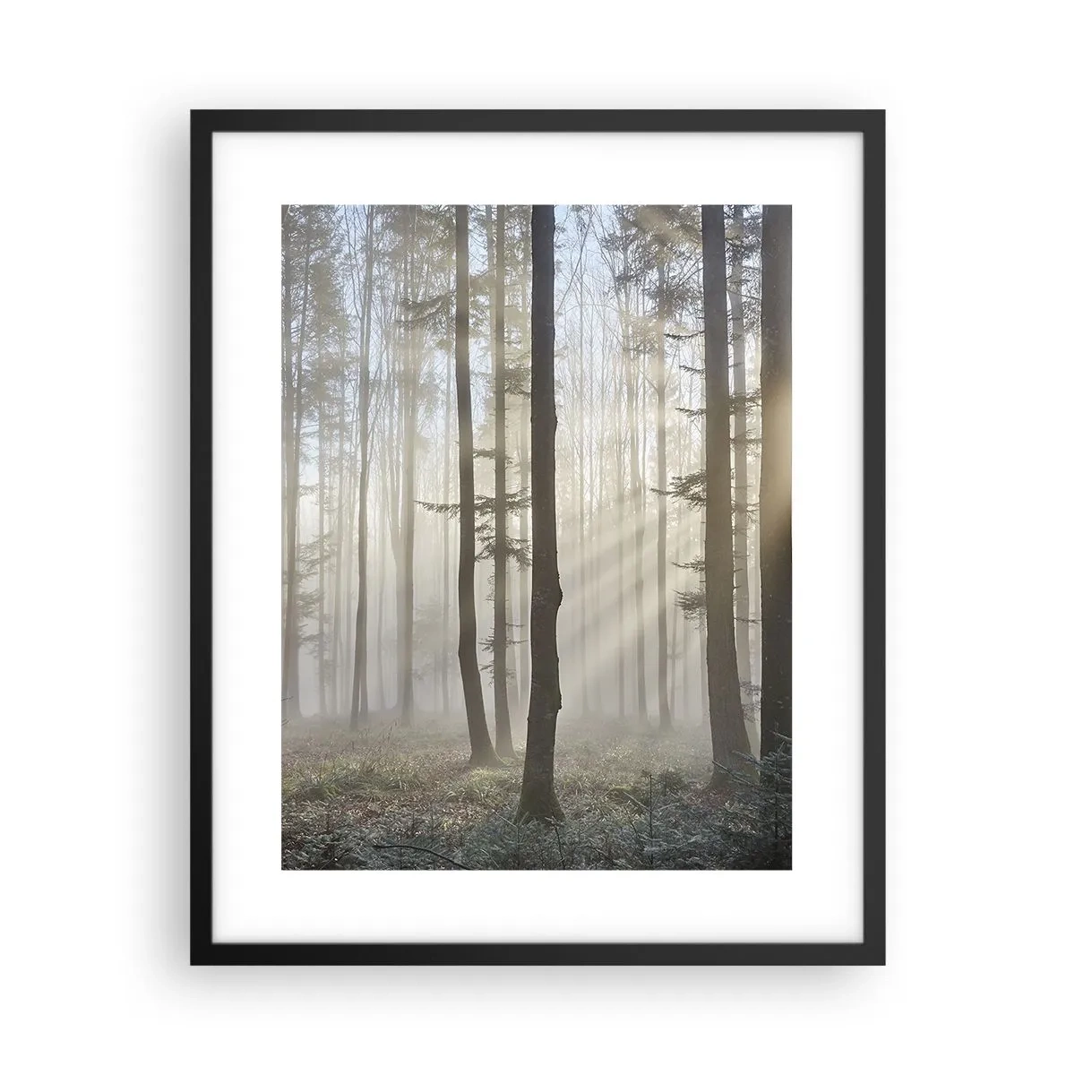 Poster în ramă neagră - Ceața s-a trezit și ea - 40x50 cm