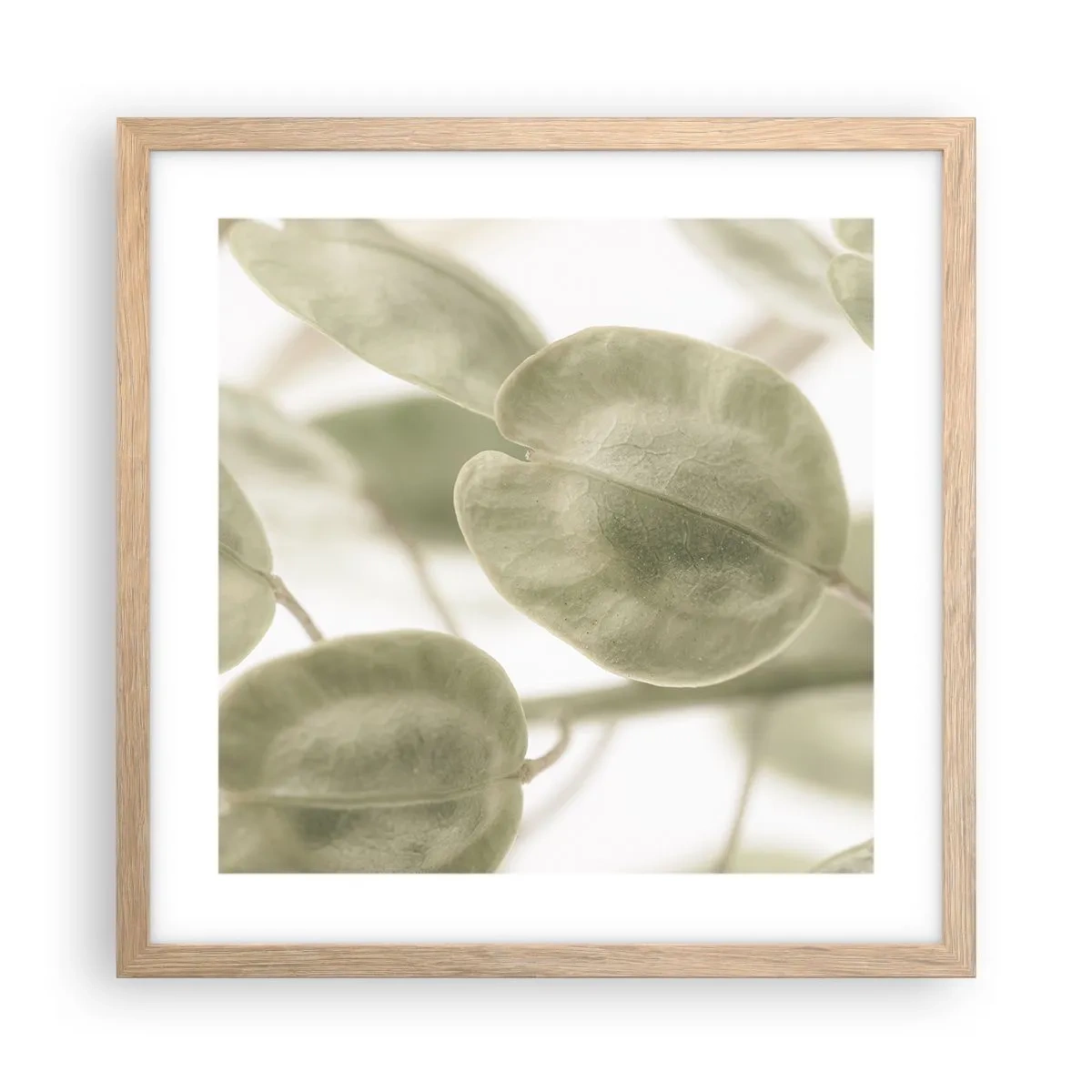 Poster în ramă de stejar deschis - La început au fost frunzele... - 40x40 cm