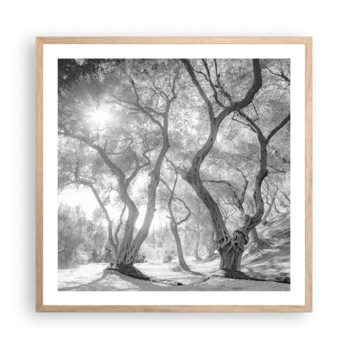 Poster în ramă de stejar deschis - Într-o livadă de măslini - 60x60 cm
