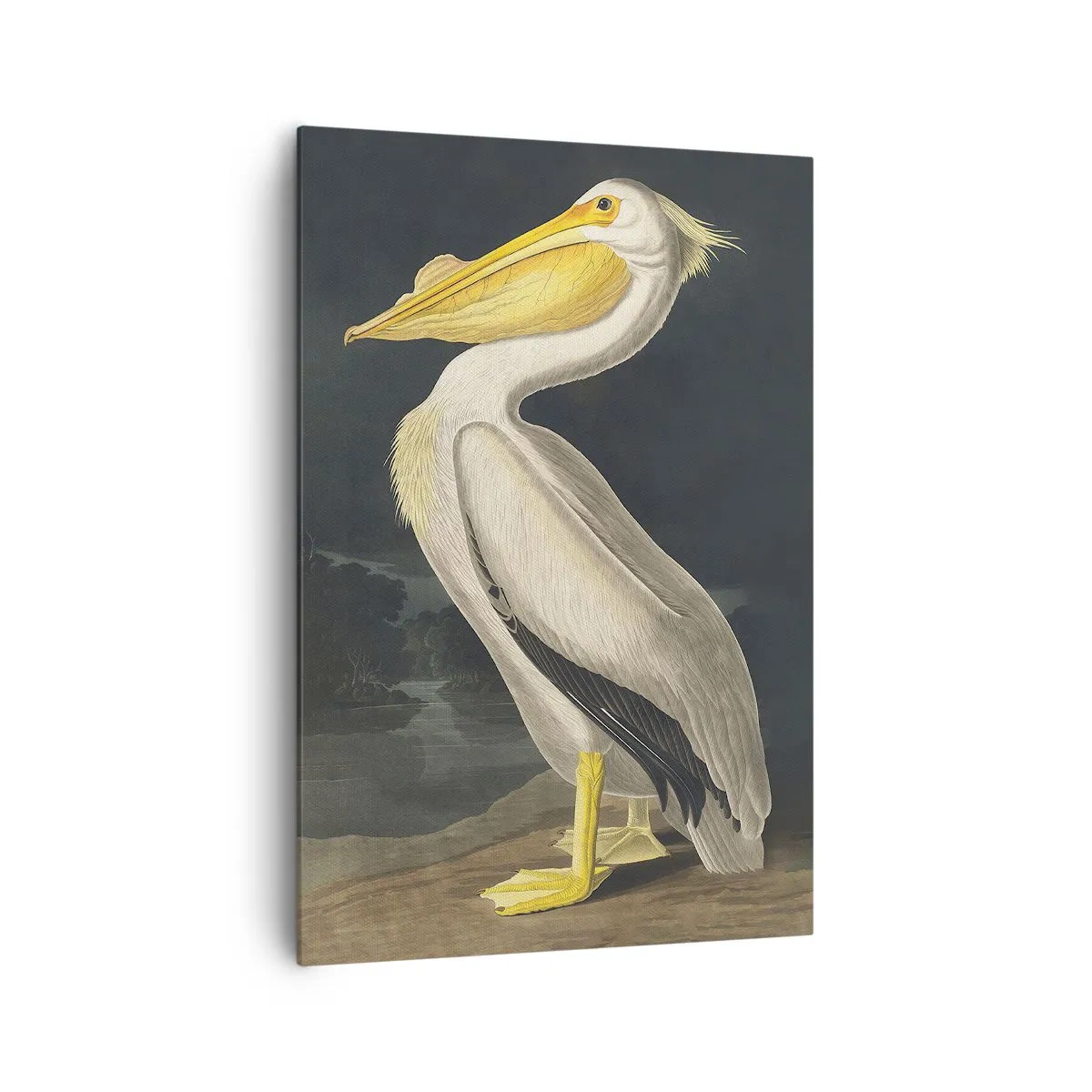 Tablou pe pânză Canvas - Plin de mândrie - 70x100 cm