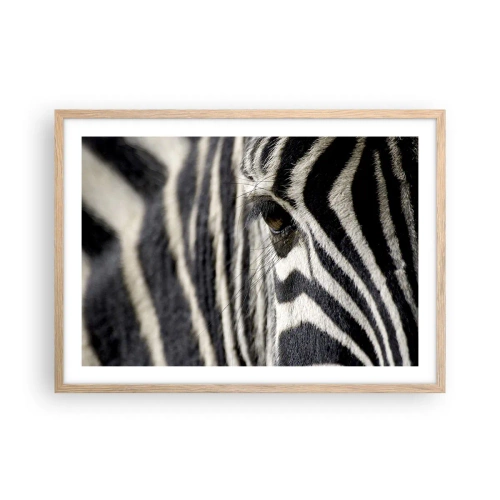 Poster în ramă de stejar deschis - Portret cu dungi - 70x50 cm