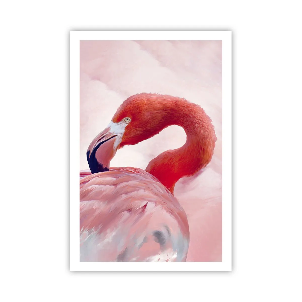 Poster - Frumusețea păsărilor - 61x91 cm