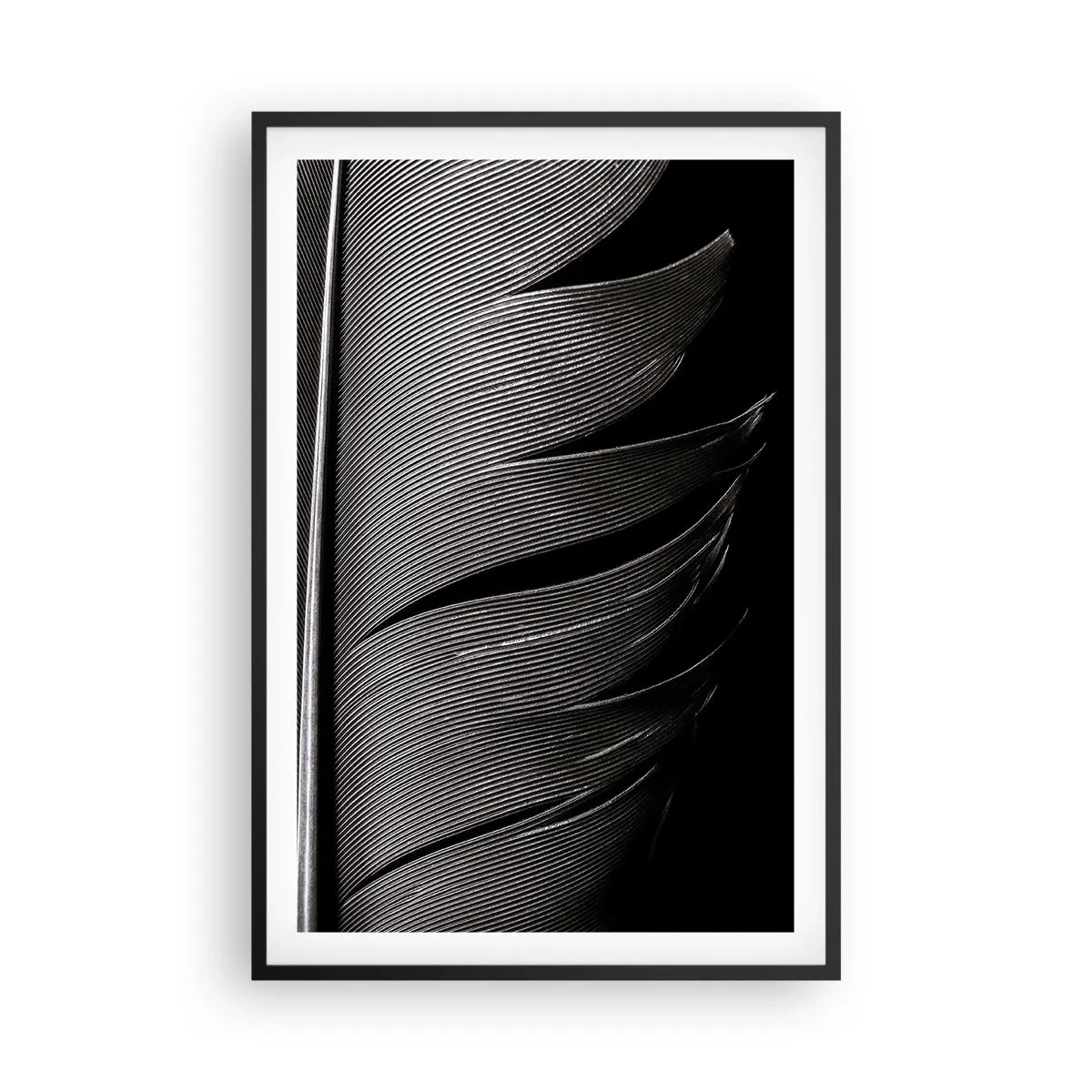 Poster în ramă neagră - Pana - o construcție minunată - 61x91 cm