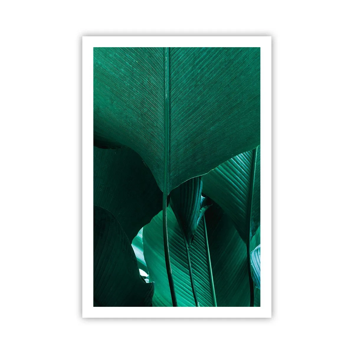 Poster - Cu frunza la lumină - 61x91 cm