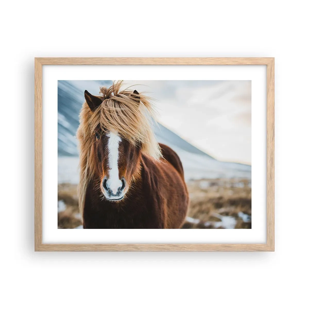 Poster în ramă de stejar deschis - Simțiți libertatea? - 50x40 cm