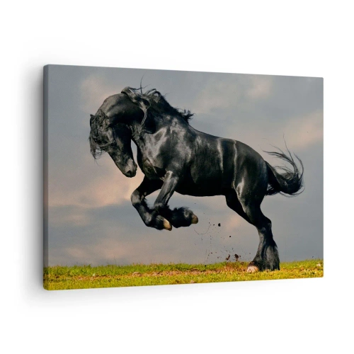Tablou pe pânză Canvas - Un cal negru într-un salt dinamic pe cer - 70x50cm - Frumos și liber - Decorațiune modernă pentru perete pentru living și dormitor ARTTOR