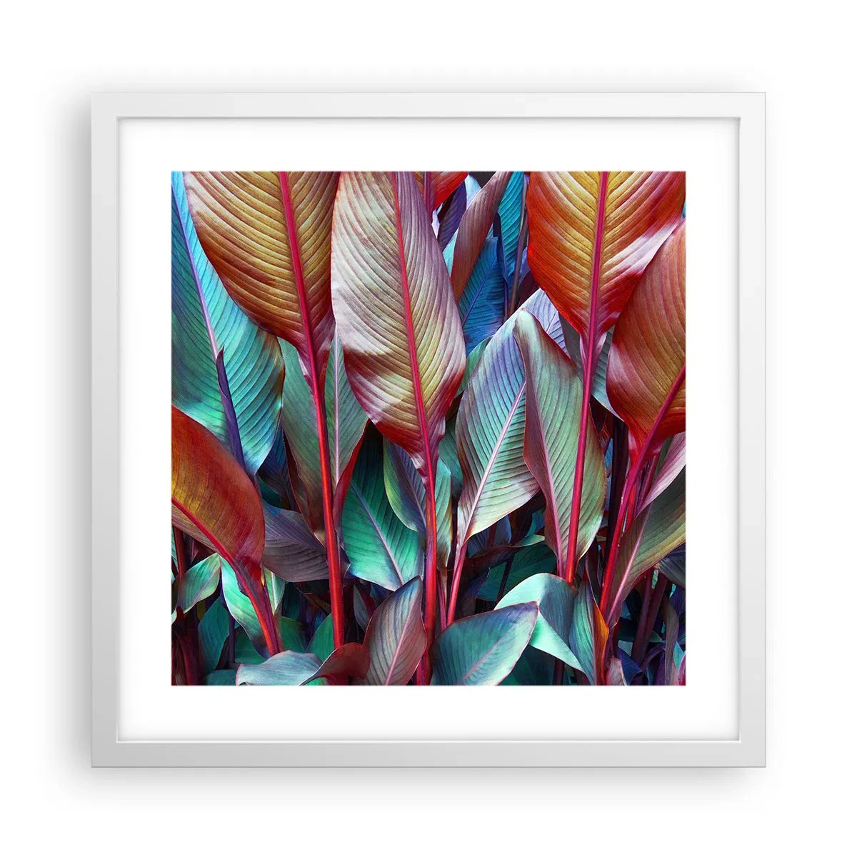 Poster în ramă albă - Tufiș colorat - 40x40 cm