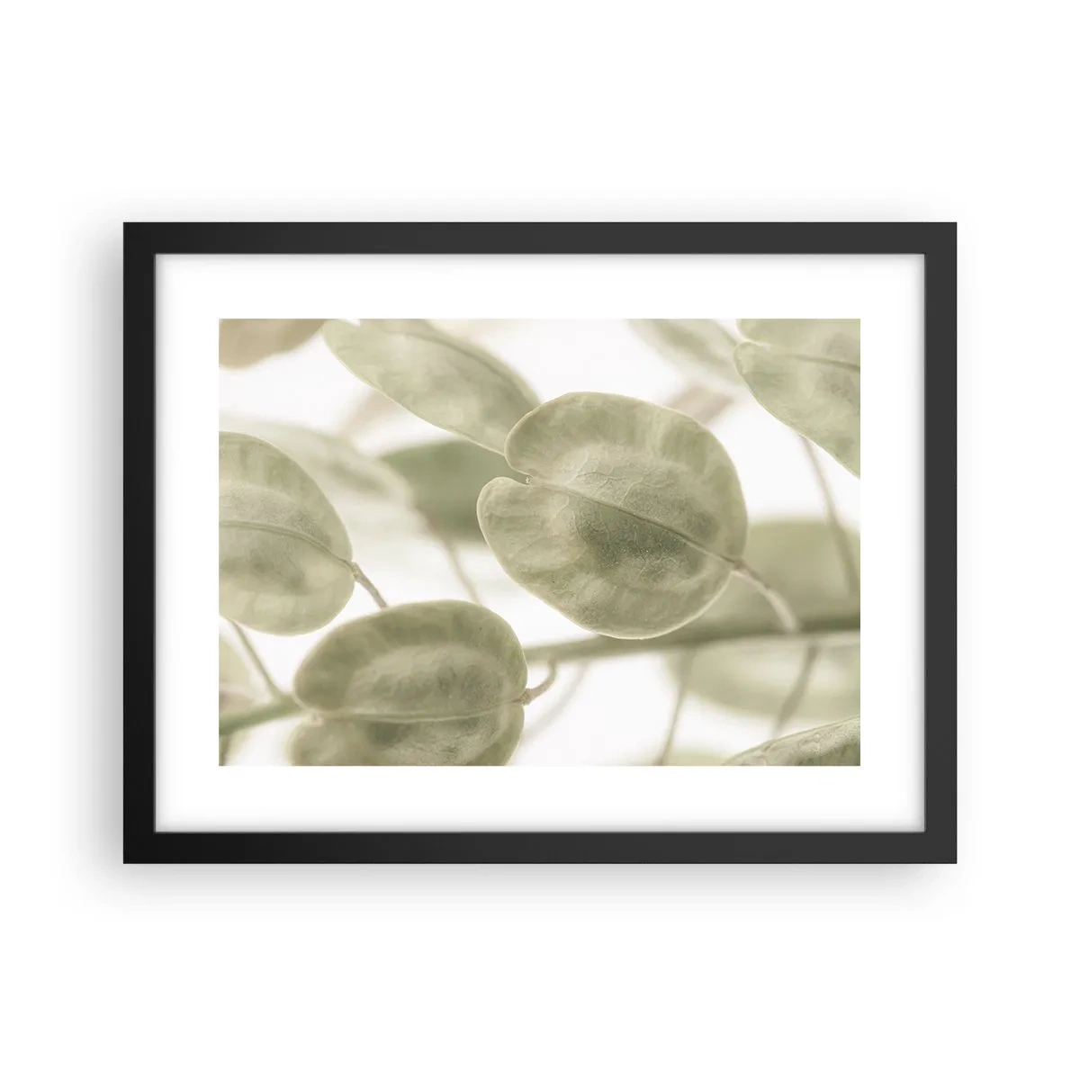 Poster în ramă neagră - La început au fost frunzele... - 40x30 cm