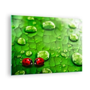 Tablou pe sticlă - Două buburuze pe o frunză verde cu picături de apă - 70x50cm - Întâlnire în verde - Decorațiune modernă pentru perete pentru living și dormitor ARTTOR