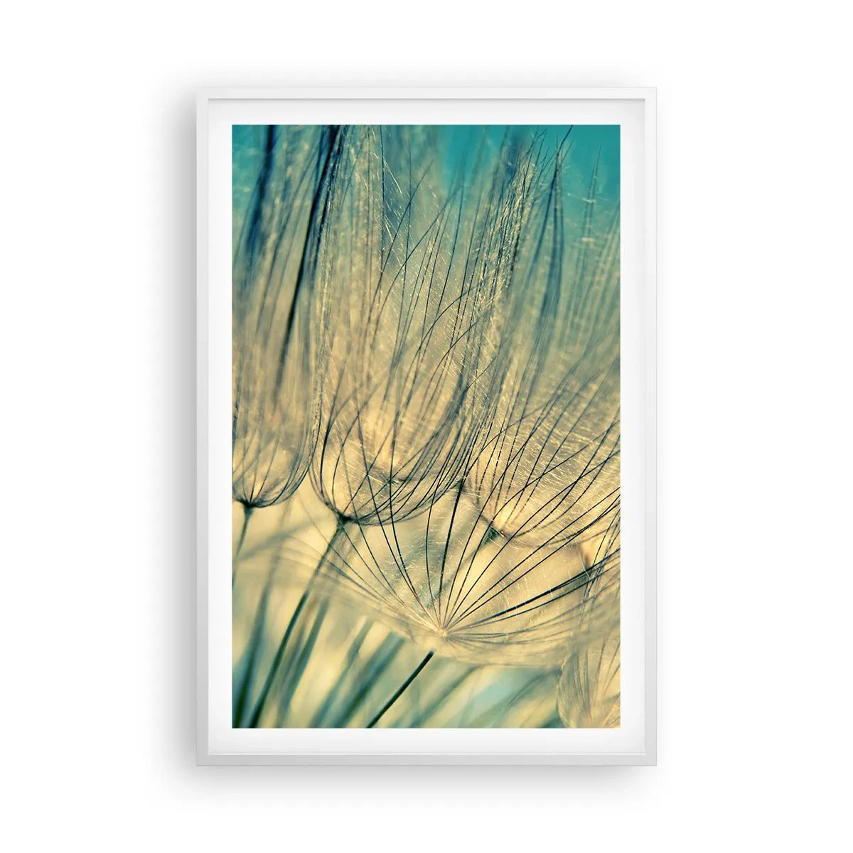 Poster în ramă albă - Așteptând vântul - 61x91 cm