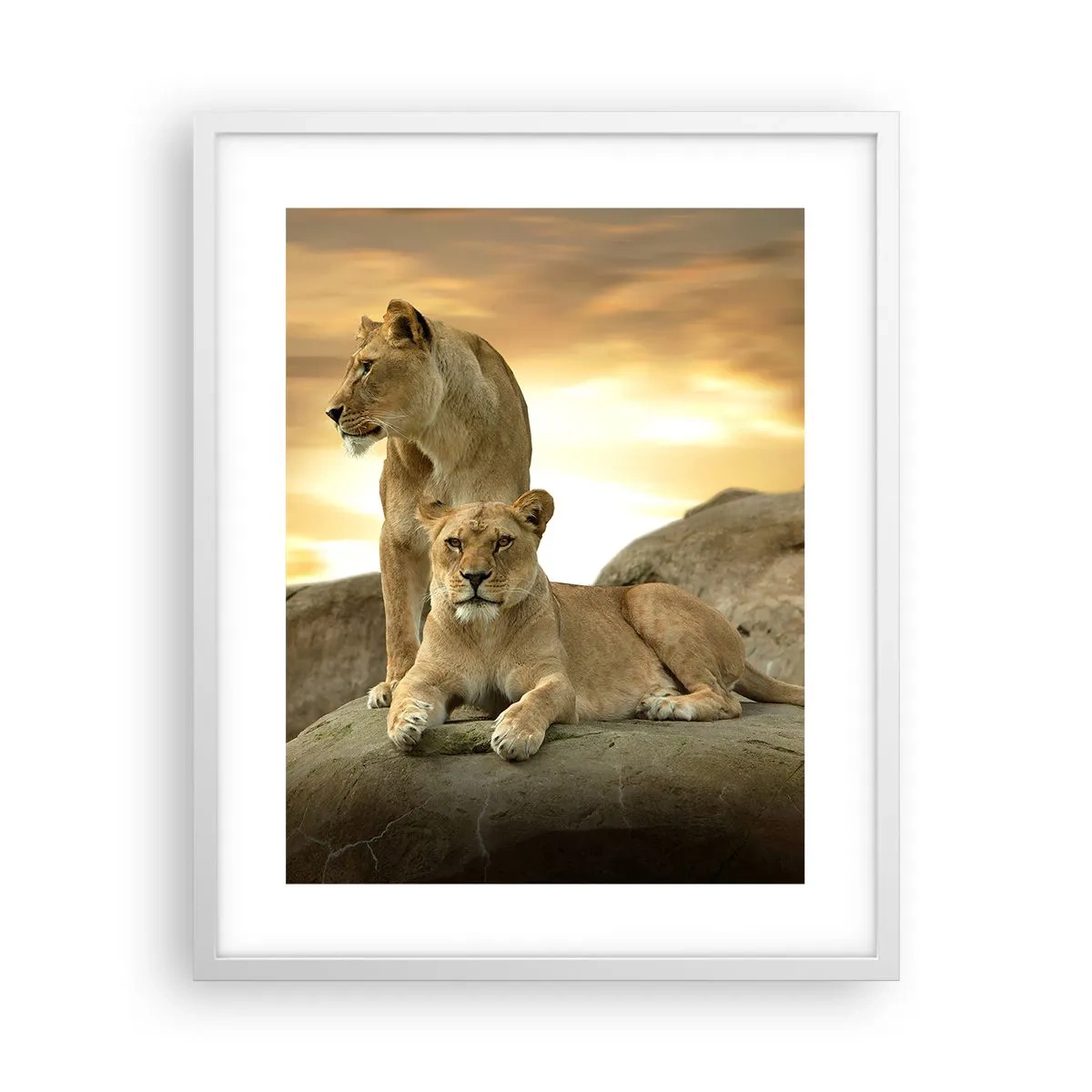 Poster în ramă albă - Maiestate regală - 40x50 cm