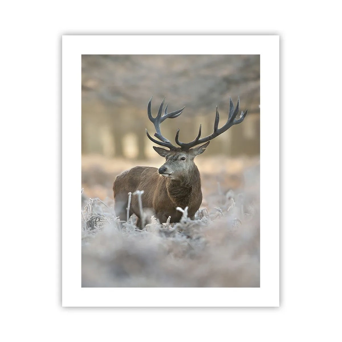 Poster - O dimineață răcoroasă - 40x50 cm