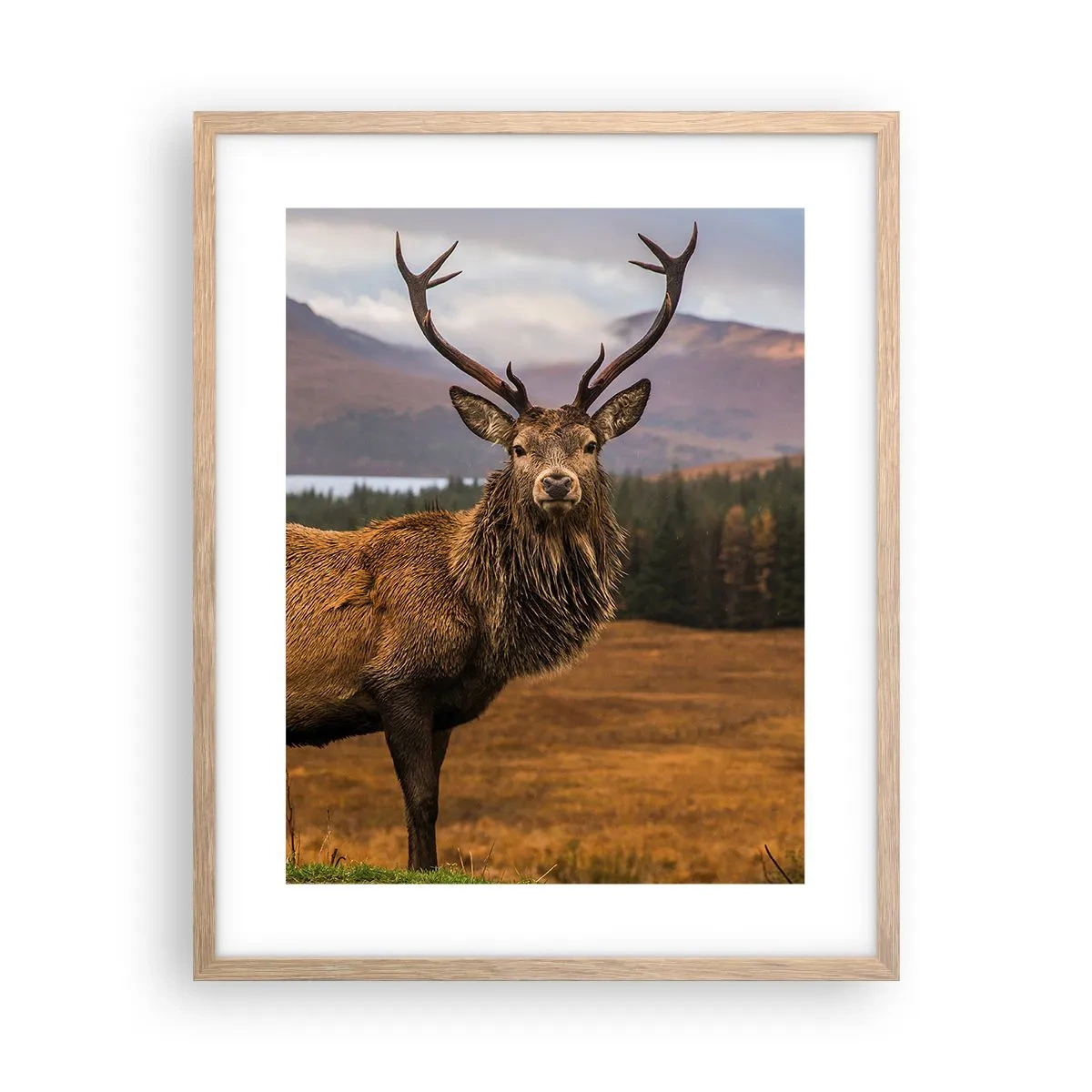 Poster în ramă de stejar deschis - Măreția naturii - 40x50 cm