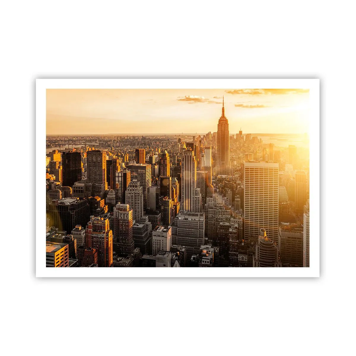 Poster - Crescând la soare - 100x70 cm