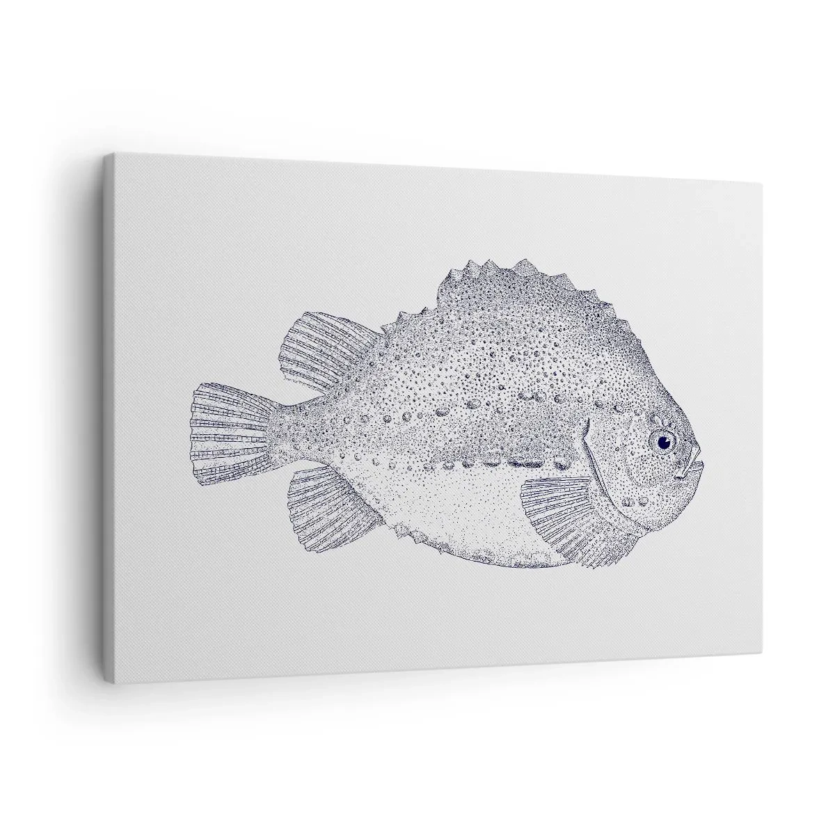 Tablou pe pânză Canvas - Desen alb-negru al unui pește pe fundal alb, în stil minimalist - 70x50cm - Pentru albumul naturalistului - Decorațiune modernă pentru perete pentru living și dormitor ARTTOR