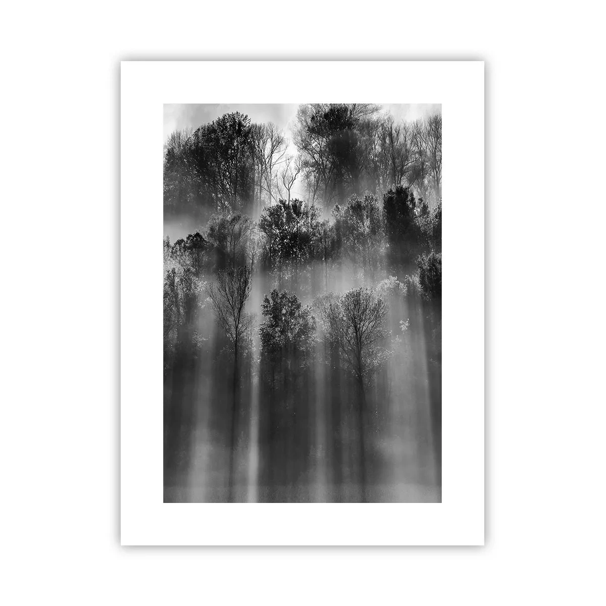 Poster - În fluxuri de lumină - 30x40 cm