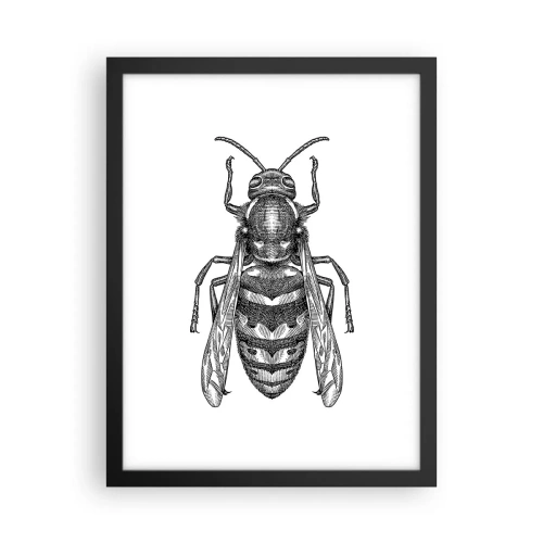 Poster în ramă neagră - De pe o planetă de insecte - 30x40 cm