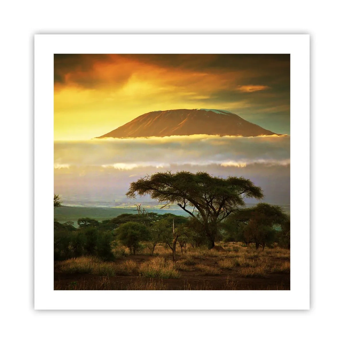 Poster - Visul unui călător - 50x50 cm