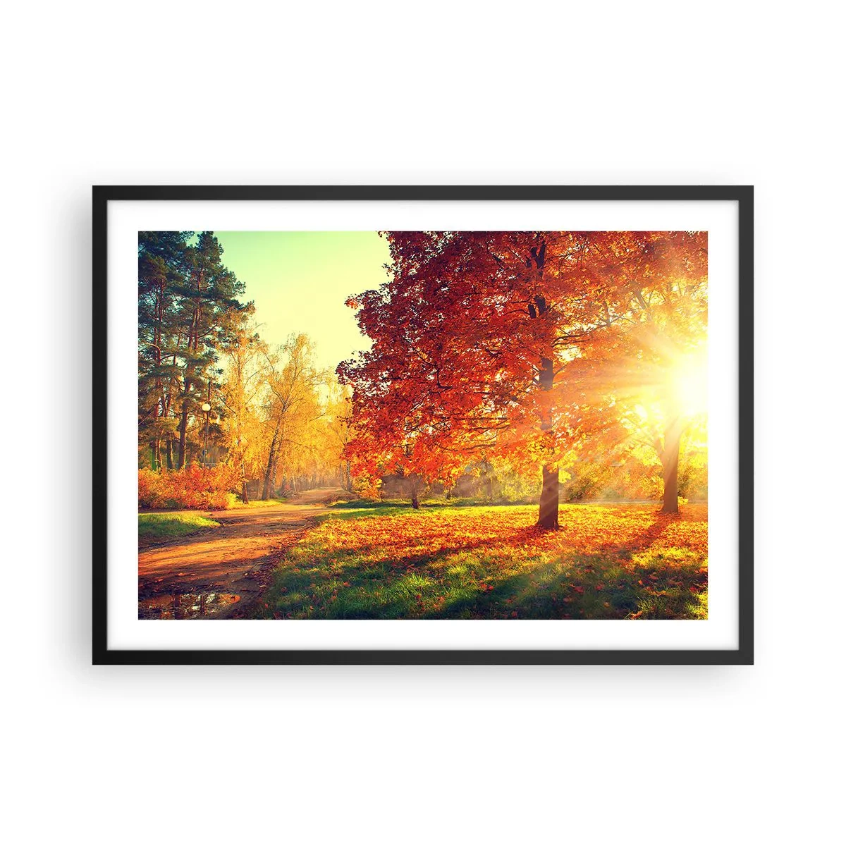 Poster în ramă neagră - Roșcatul este frumos - 70x50 cm
