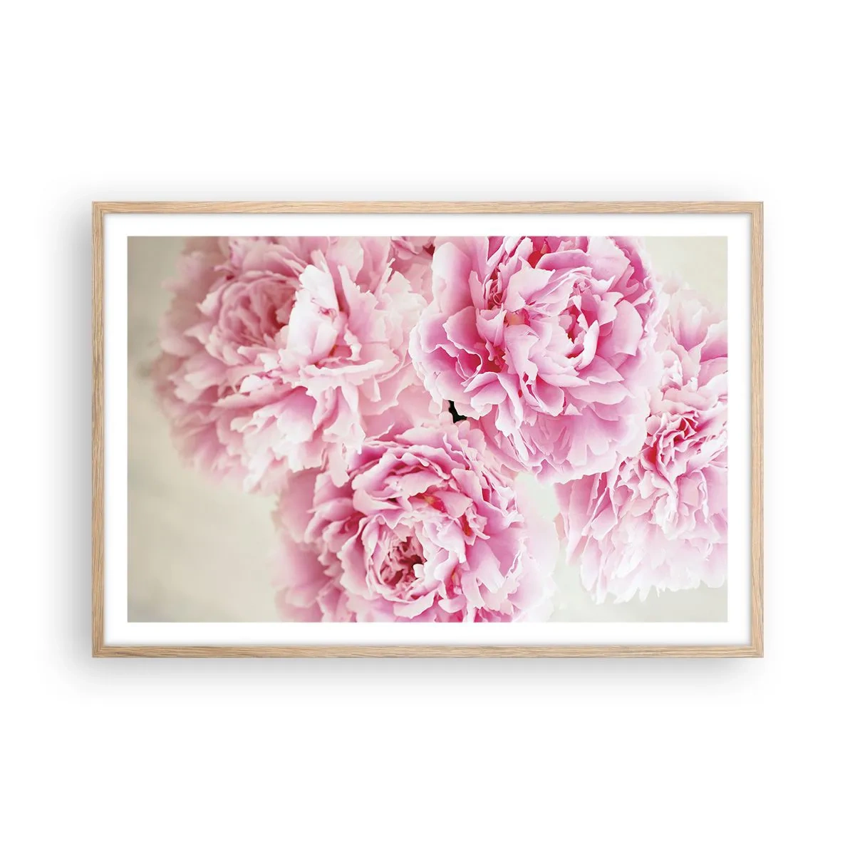 Poster în ramă de stejar deschis - În luxul roz - 91x61 cm