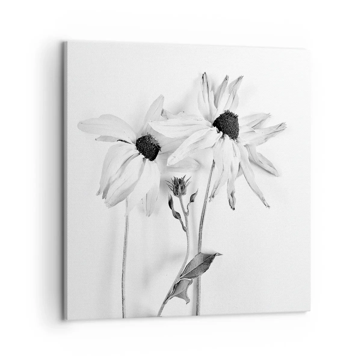 Tablou pe pânză - Nimeni nu vrea să fie singur - 50x50 cm